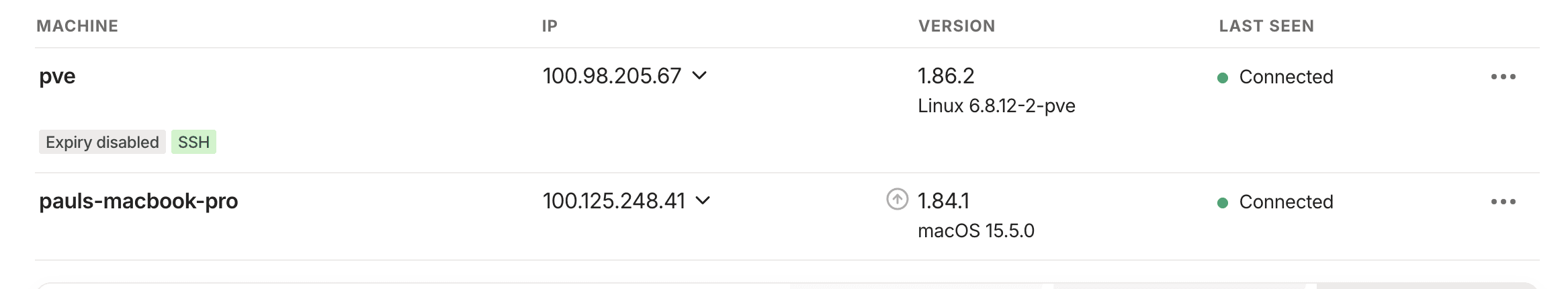 Tailscale IP Address