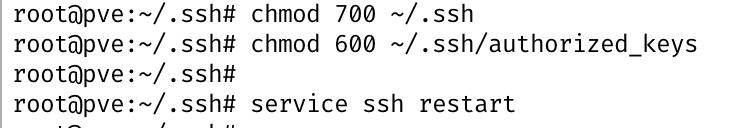 security chmod